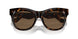 300273 - Brown - Dark Brown