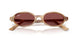 685675 - Tortoise - Dark Violet