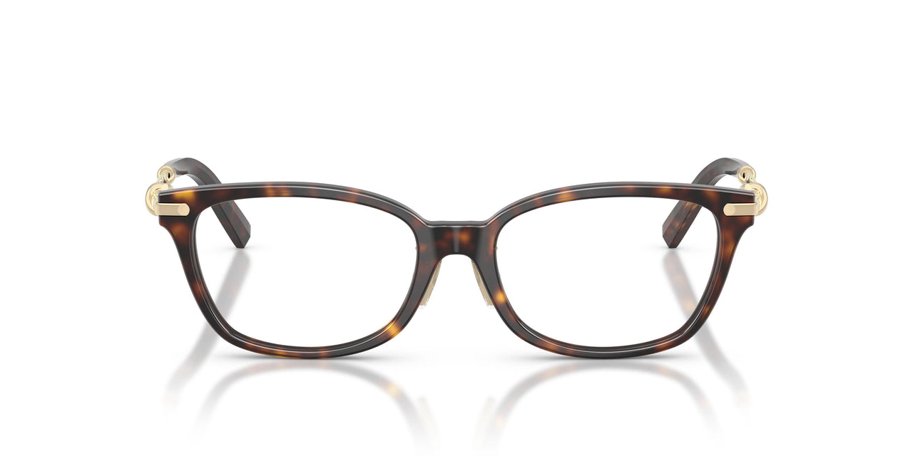 8015 - Tortoise