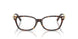 8015 - Tortoise