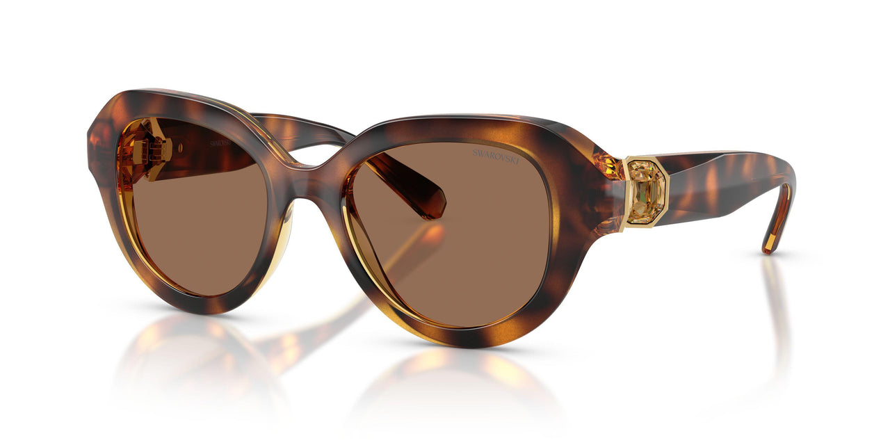 100273 - Tortoise - Dark Brown