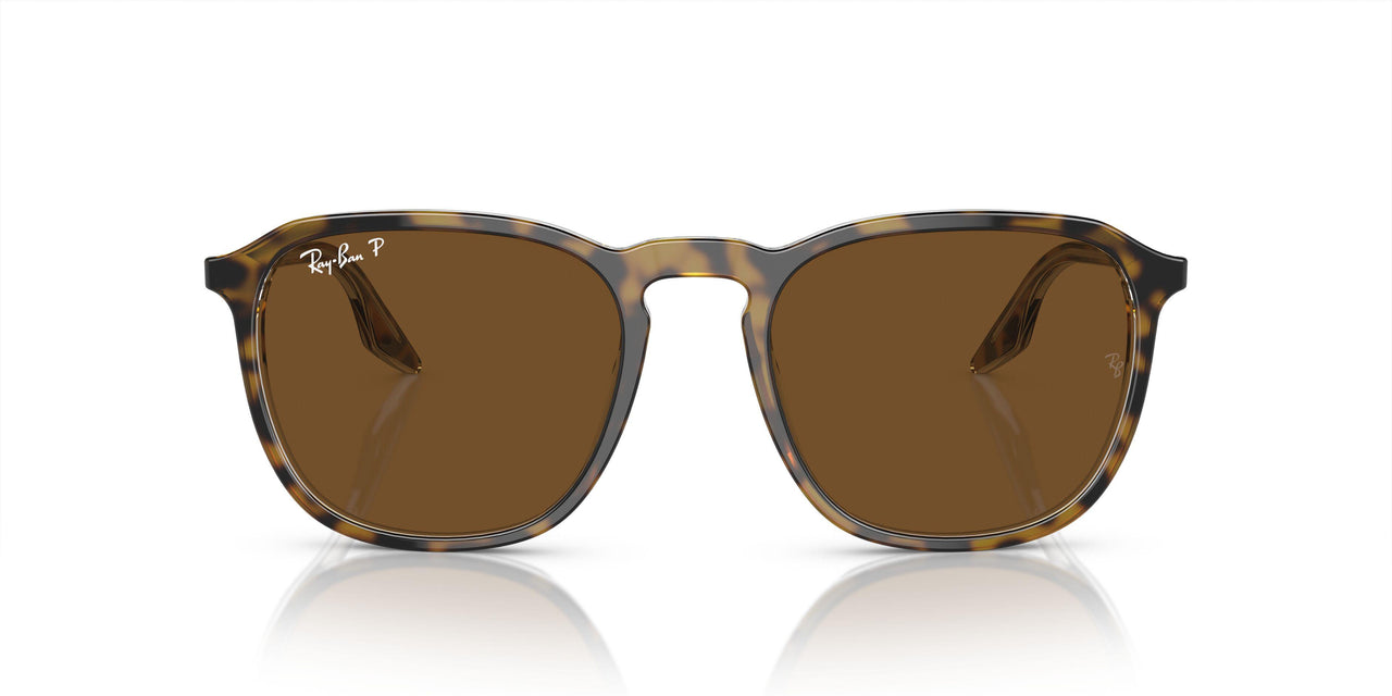 139357 - Tortoise - Brown