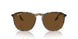 139357 - Tortoise - Brown