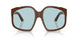 24D20R - Brown - Light Blue