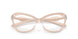 2034 - Brown