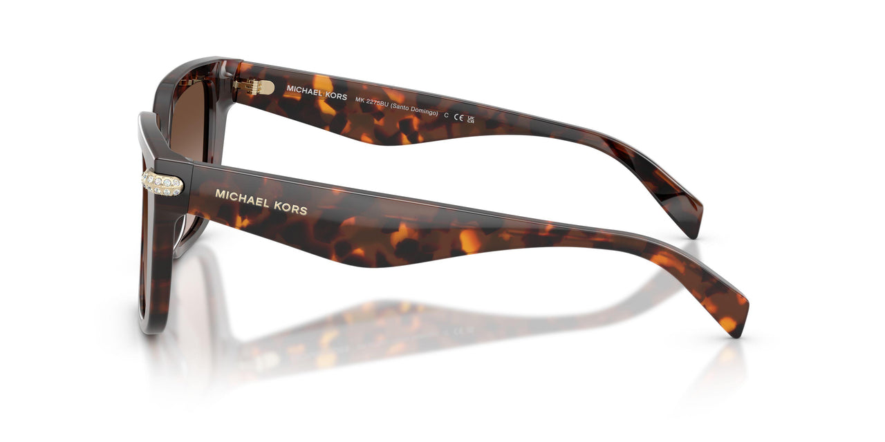 403113 - Tortoise - Smoke Gradient