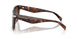 403113 - Tortoise - Smoke Gradient