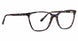 XOXO XOEVERGREEN Eyeglasses