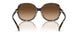512074 - Tortoise - Brown Gradient