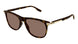 Montblanc Established MB0216S Sunglasses