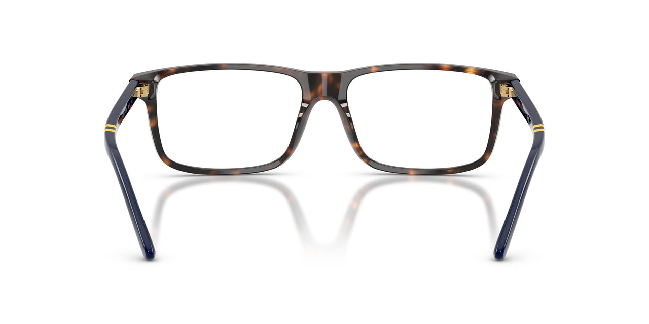 5003 - Tortoise
