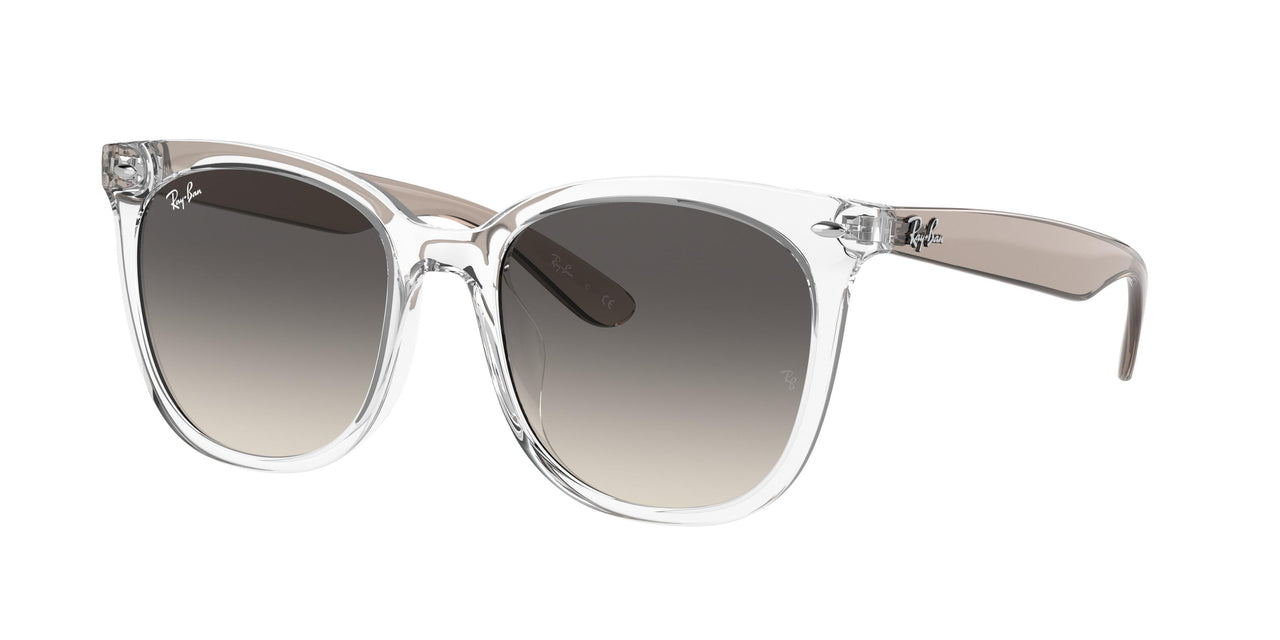 Ray-Ban 4379D Sunglasses