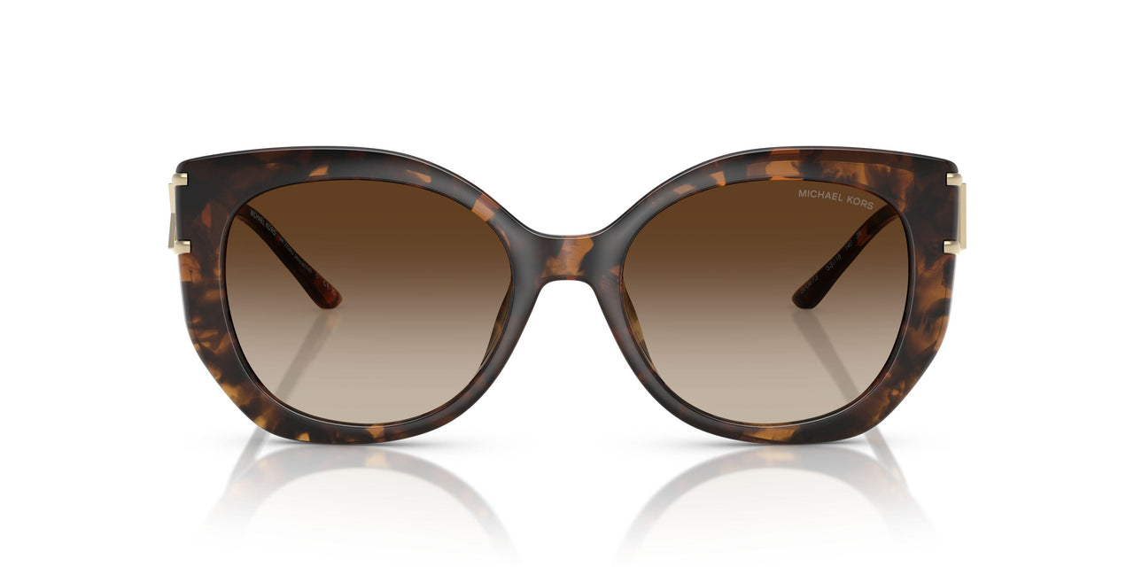 300613 - Tortoise - Brown Gradient