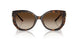 300613 - Tortoise - Brown Gradient