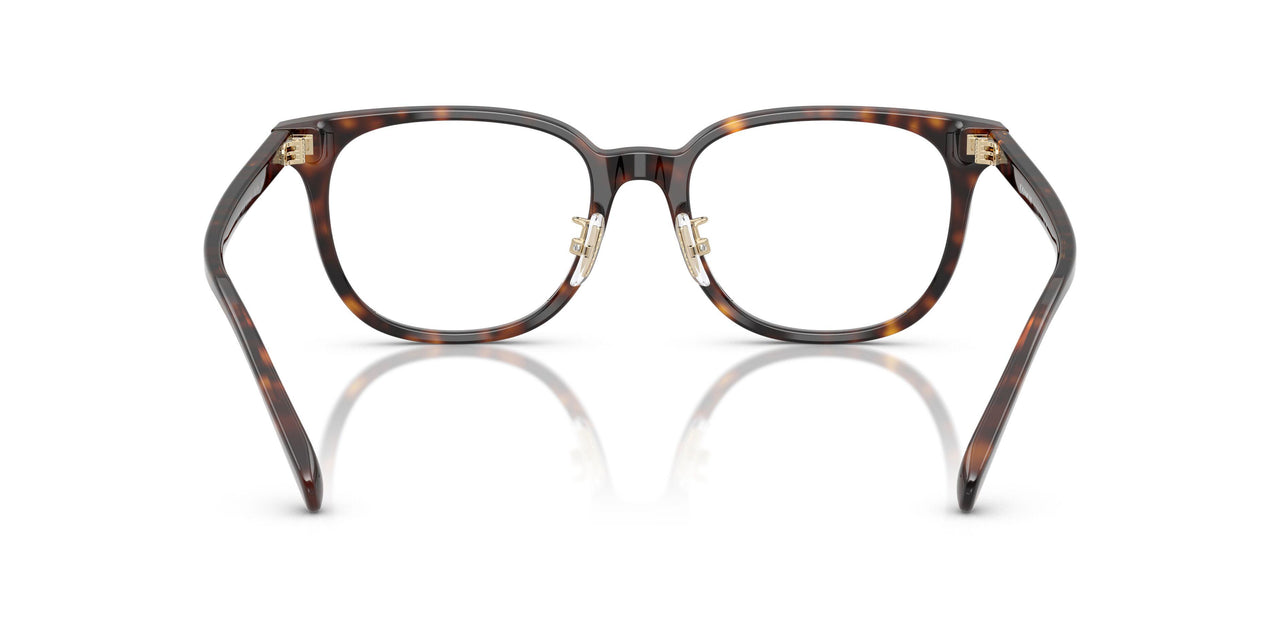 5120 - Tortoise