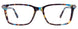 50 - Demi Blue & Steel