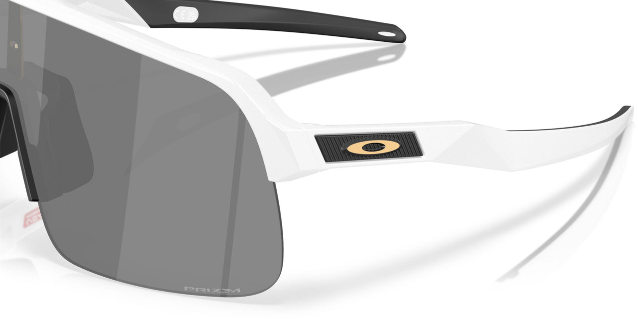 949613 - White - Prizm Black