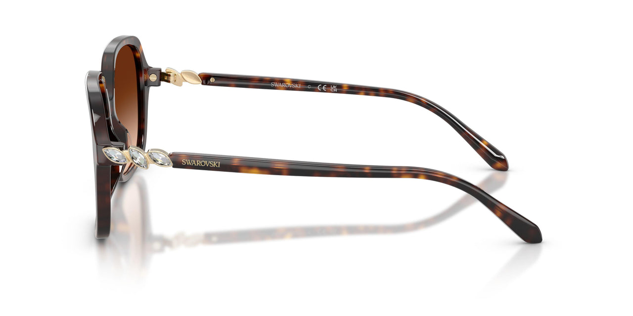 100274 - Tortoise - Gradient Brown