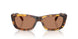 14L20D - Tortoise - Solid Brown