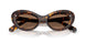 100273 - Tortoise - Dark Brown