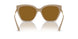 310183 - Brown - Dark Brown Polar