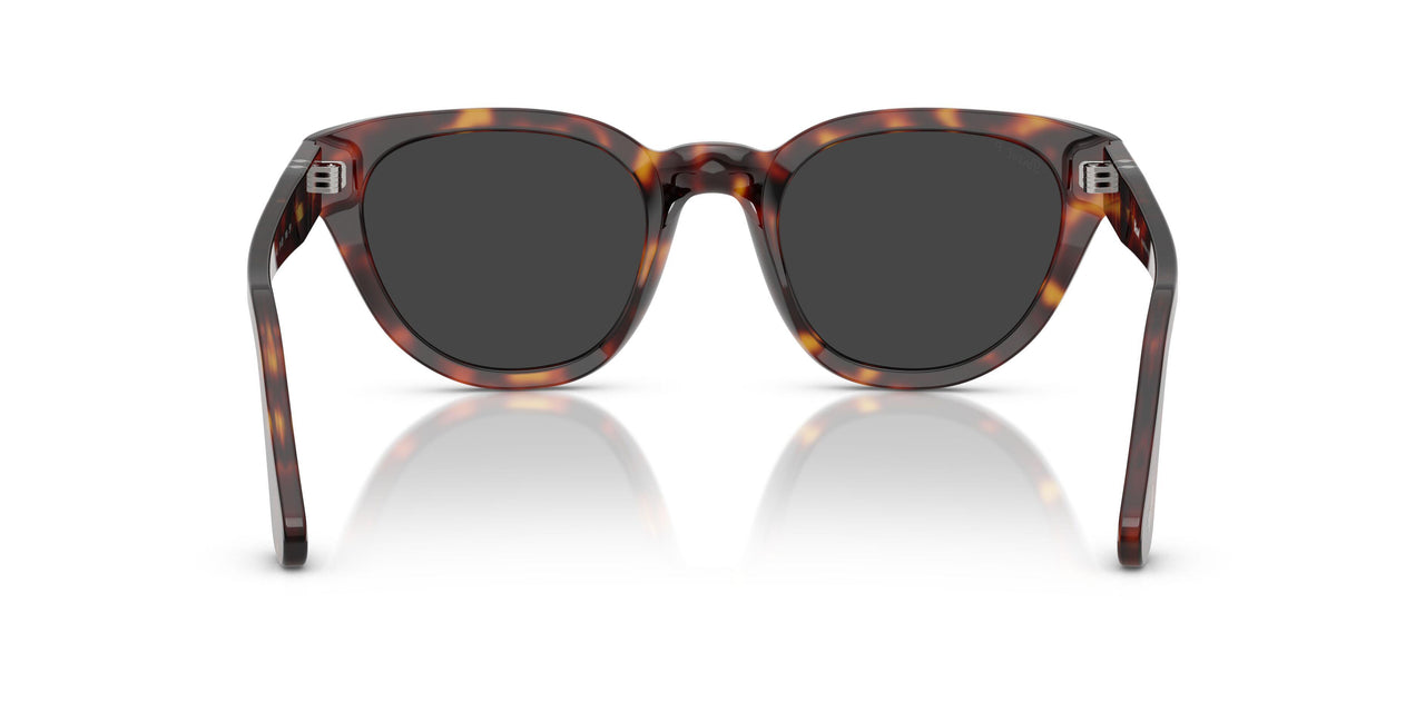 24/48 - Tortoise - Polar Dark Grey