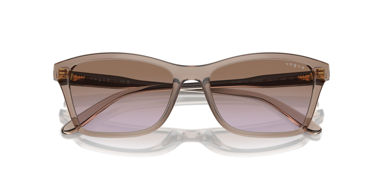 294068 - Brown - Violet Gradient Brown