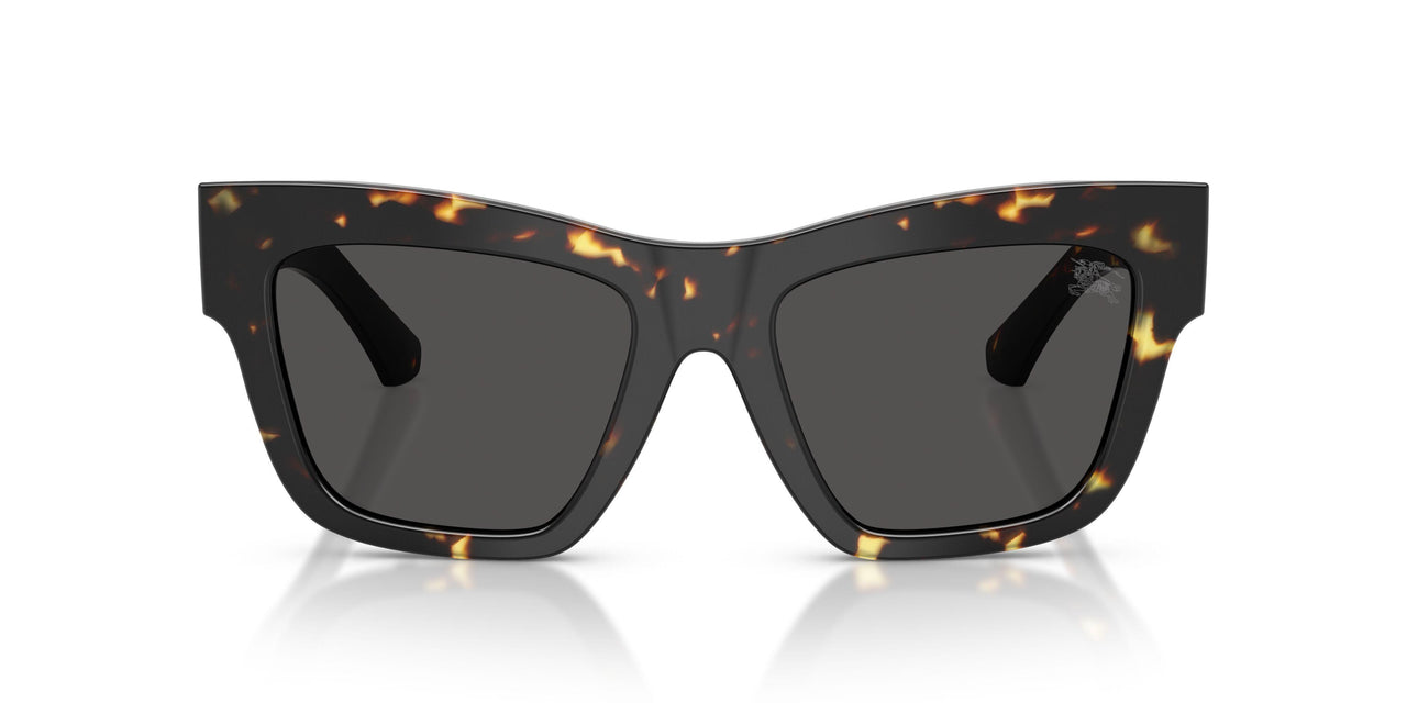 410687 - Tortoise - Dark Grey