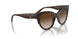 W65613 - Havana - Brown Gradient