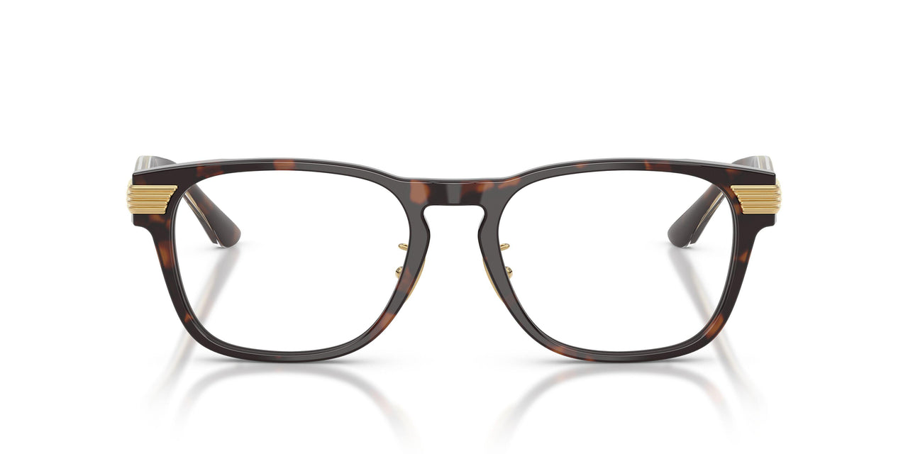 750 - Tortoise