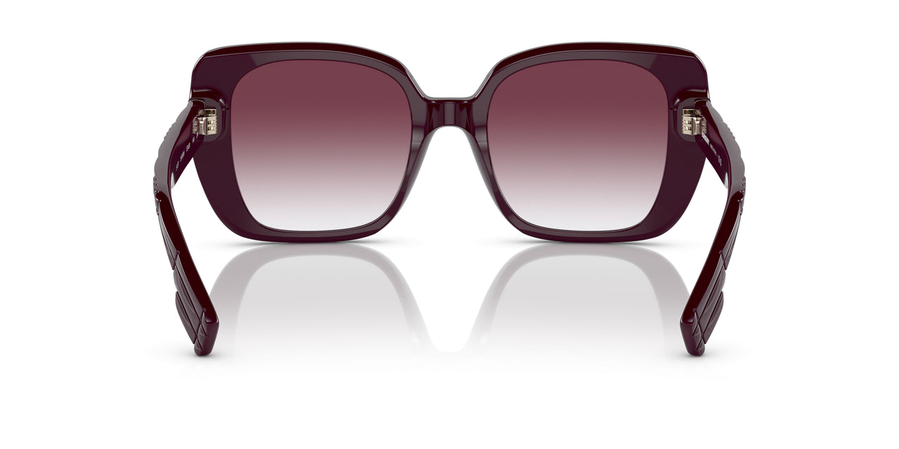 39798H - Bordeaux - Violet Gradient