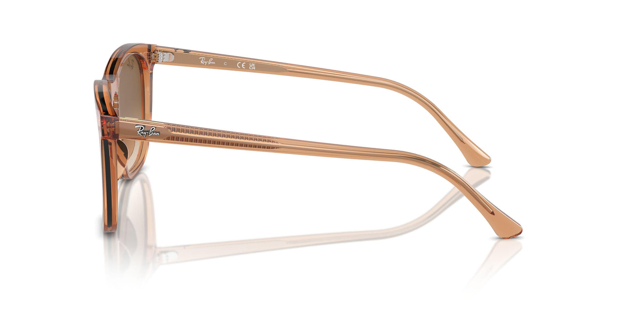 676451 - Brown - Clear & Brown