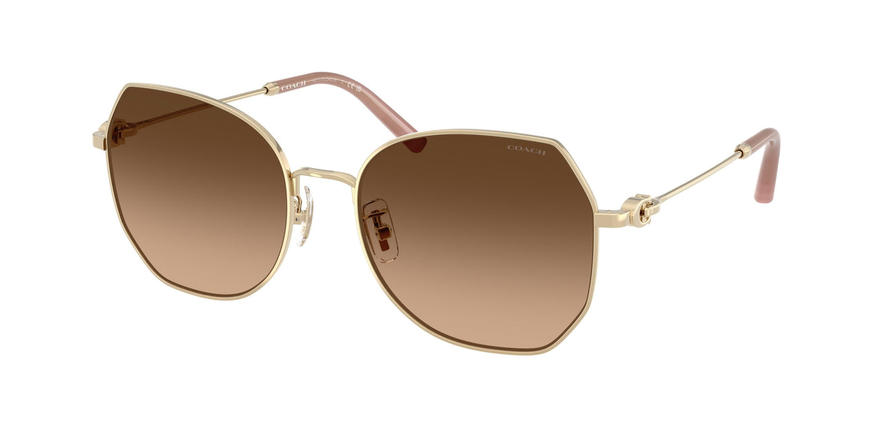 Coach Cad79 7175 Sunglasses
