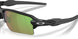 948816 - Black - Prizm Shallow Water Polarized