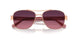 9331F4 - Gold - Burgundy Gradient Polar