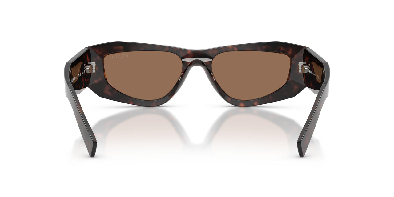 17N06B - Tortoise - Dark Brown