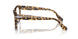 1056GI - Tortoise - Transitions 8 Brown
