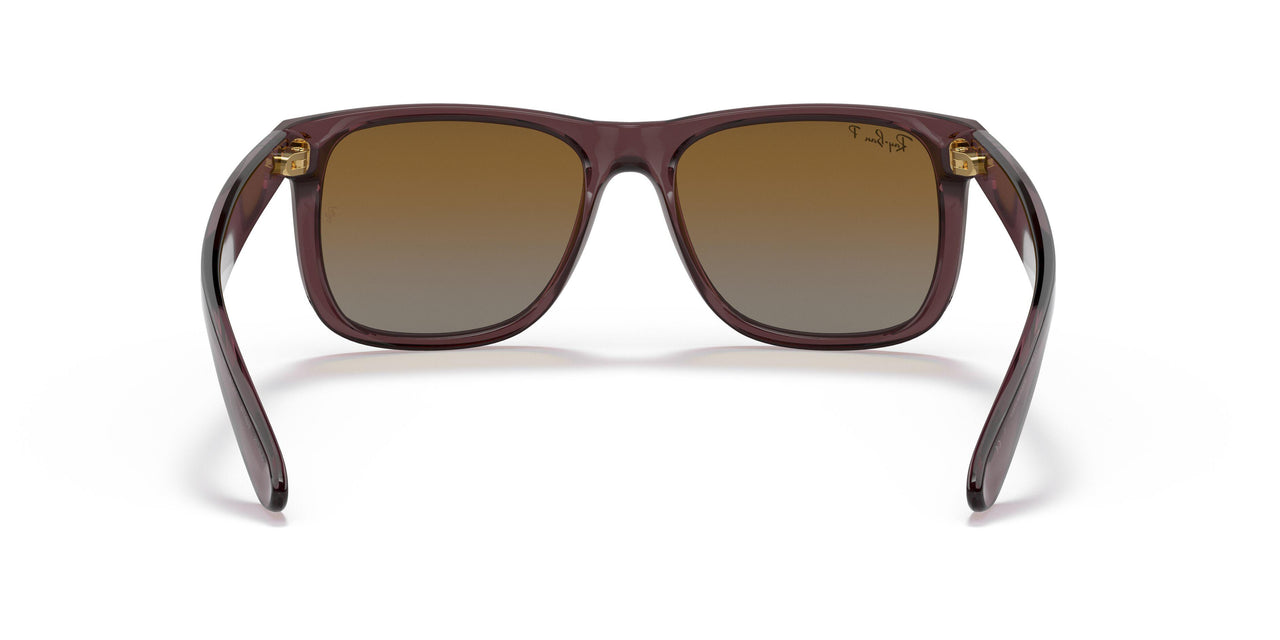 6597T5 - Brown - Gradient Brown Polar