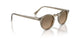 1745GN - Green - Sandstone Gradient Polarized