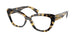 7S01O1 - Tortoise