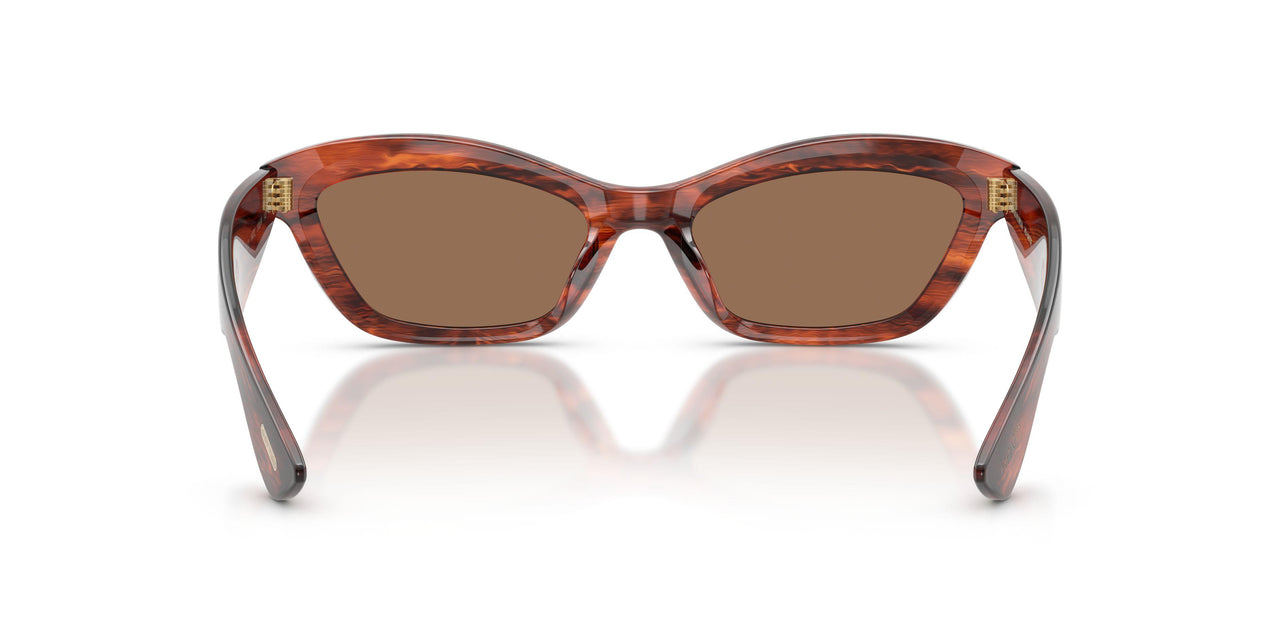 172573 - Red - Brown