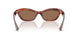 172573 - Red - Brown