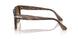 120851 - Tortoise - Gradient Brown