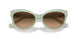 608274 - Green - Gradient Brown