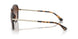 300613 - Havana - Brown Gradient