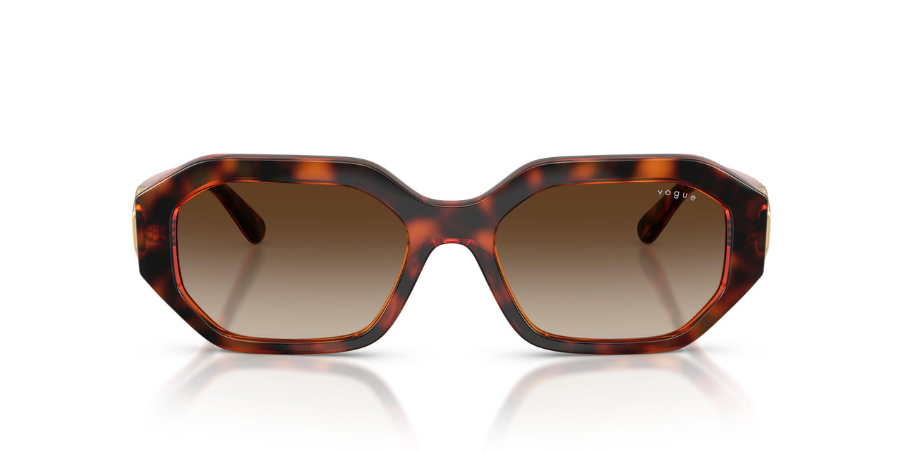 W65613 - Brown - Brown Gradient