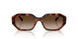 W65613 - Brown - Brown Gradient