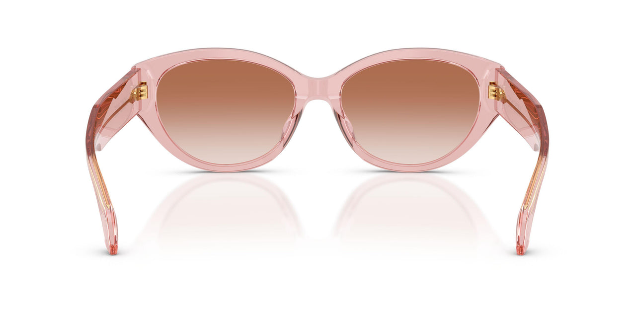 543413 - Pink - Pink Gradient