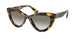 VAU0A7 - Tortoise - Gradient Grey