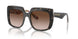 321713 - Tortoise - Gradient Brown